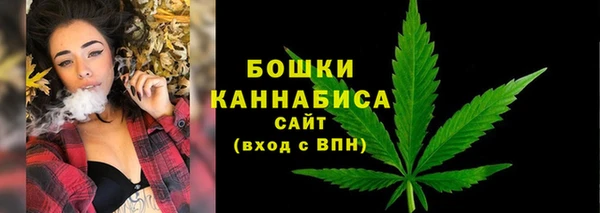 мдпв Верхний Тагил