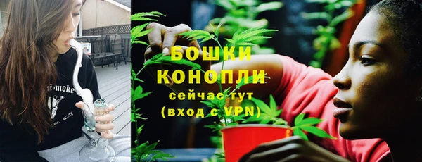 мдпв Верхний Тагил