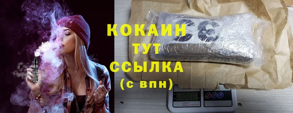 мдпв Верхний Тагил