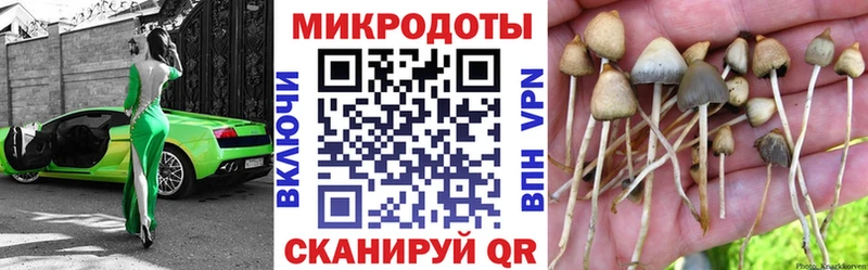 Купить  Горбатов  Галлюциногенные грибы прущие грибы 